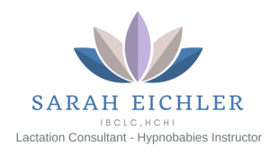 &nbsp; &nbsp;Sarah Eichler,IBCLC, LCCE